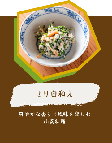 せり白和え 爽やかな香りと風味を楽しむ山菜料理