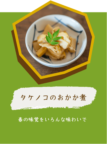 タケノコのおかか煮 春の味覚の素材を味わう