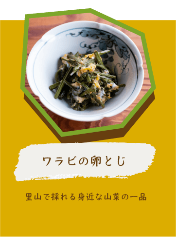 ワラビの卵とじ 里山で採れる身近な山菜の一品